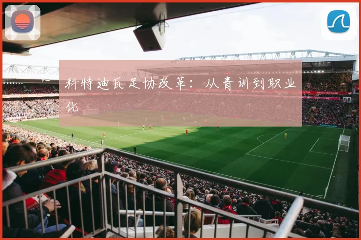 科特迪瓦足协改革：从青训到职业化