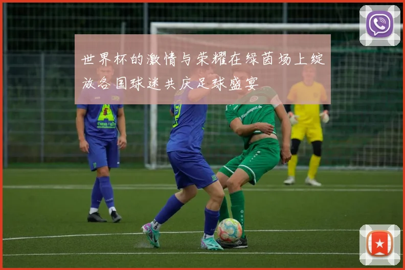 世界杯的激情与荣耀在绿茵场上绽放各国球迷共庆足球盛宴