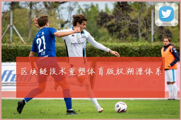区块链技术重塑体育版权溯源体系