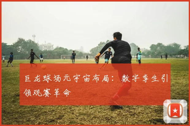 巨龙球场元宇宙布局：数字孪生引领观赛革命